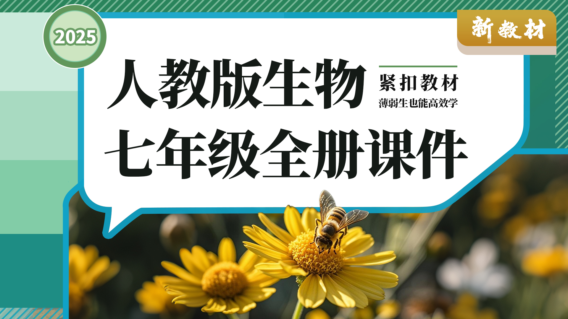 夯实基础·拿着直接用 | 人教版生物七年级全册课件+教案+学案