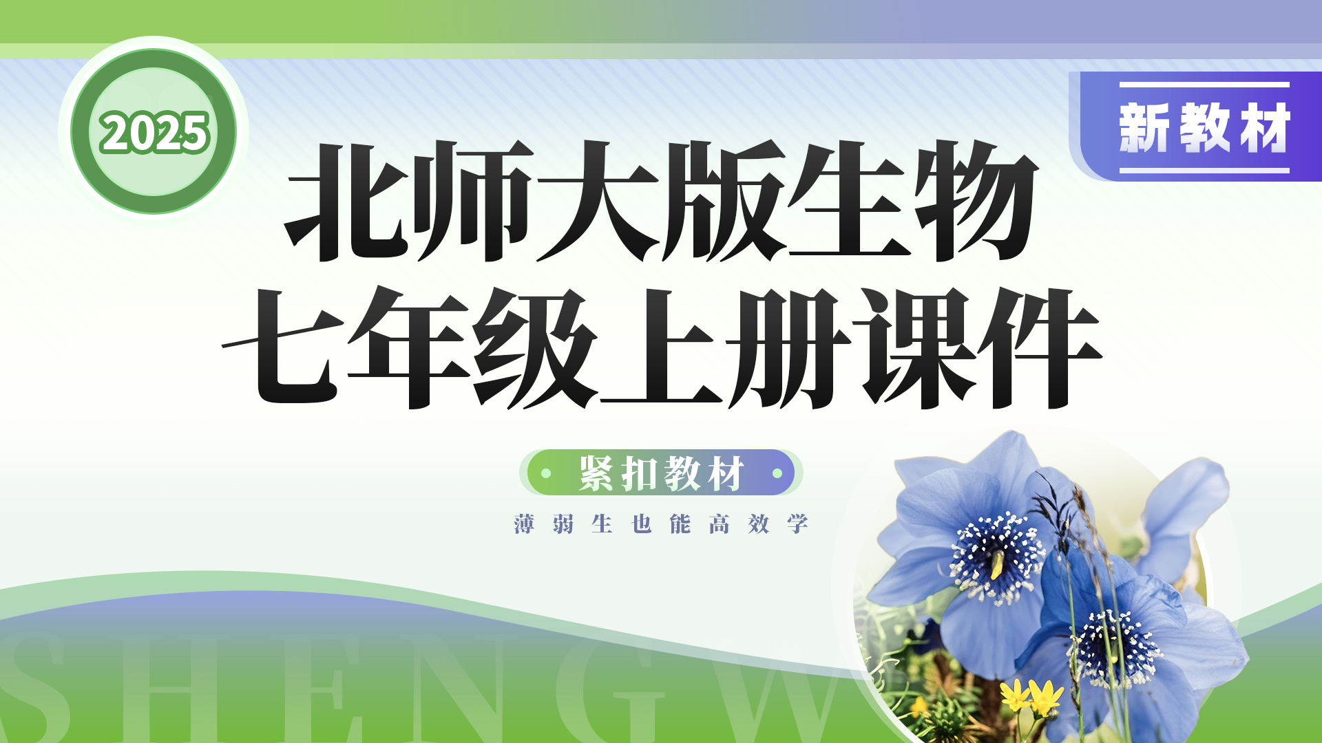 夯实基础·北师大版生物七年级上册课件+教案+导学案
