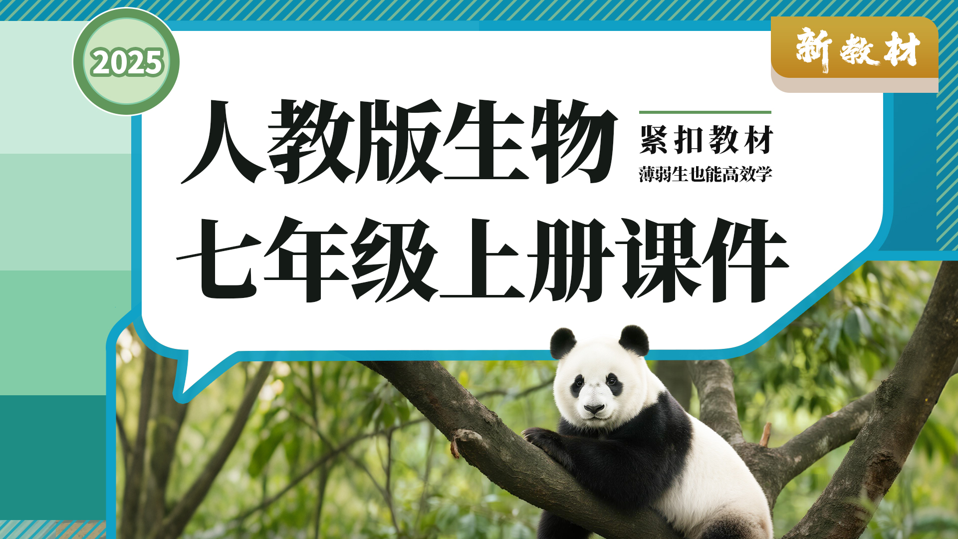 实用高效课堂·人教版生物七年级上册课件+教案+导学案