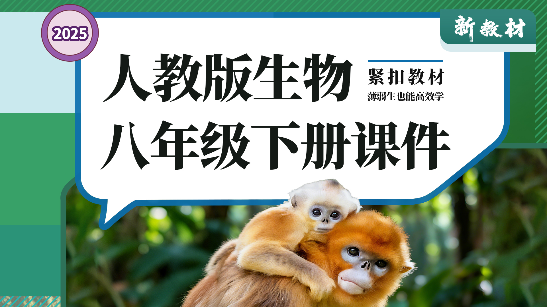 夯实基础·人教版生物八年级下册课件+教案+学案