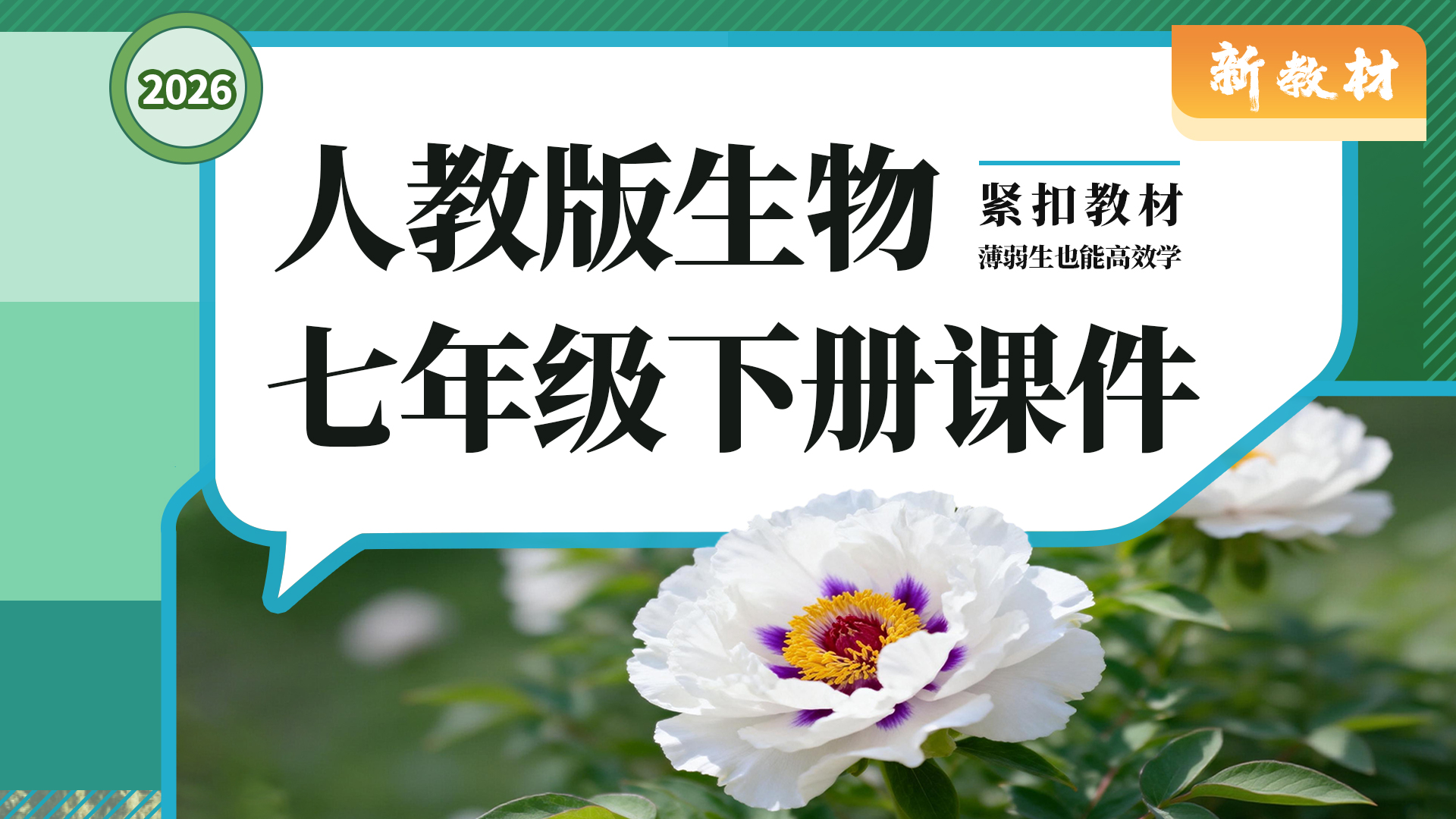 夯实基础·人教版生物七年级下册课件+教案+学案