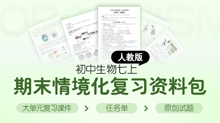情境化·人教版七年级上册单元复习课件+试卷