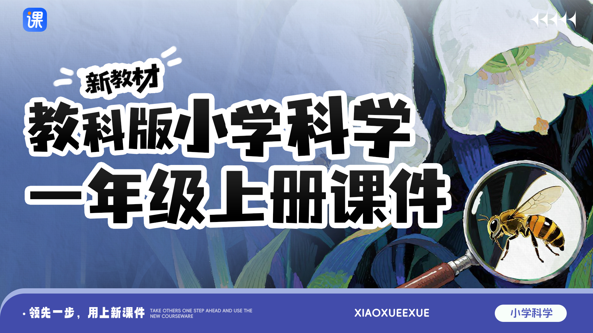教科版科学一年级上册课件（一课一情境 · 共16套 · 更新完毕）