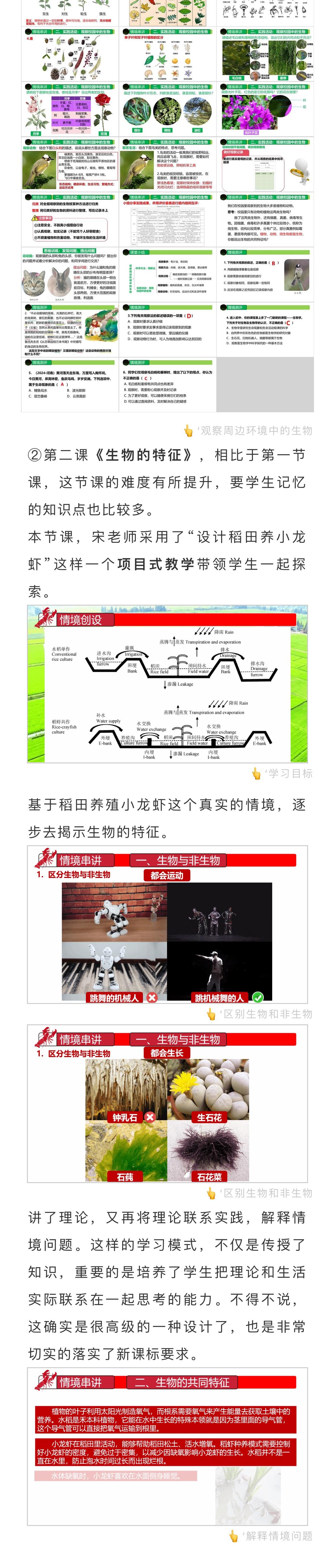 详情图 4