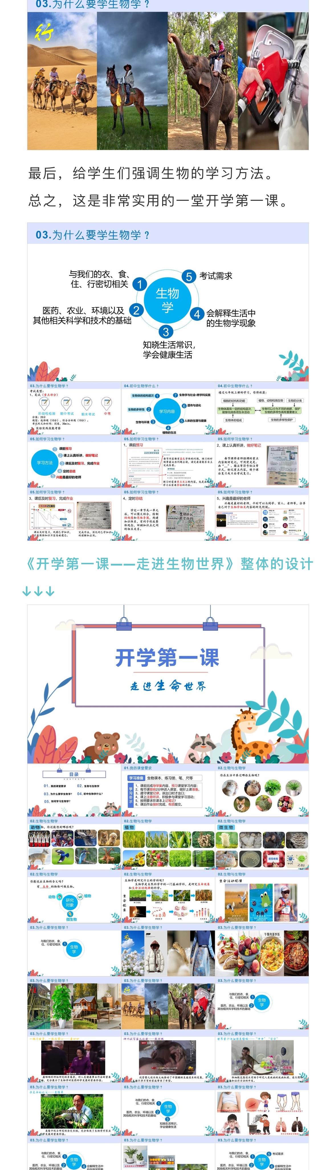 详情图 3