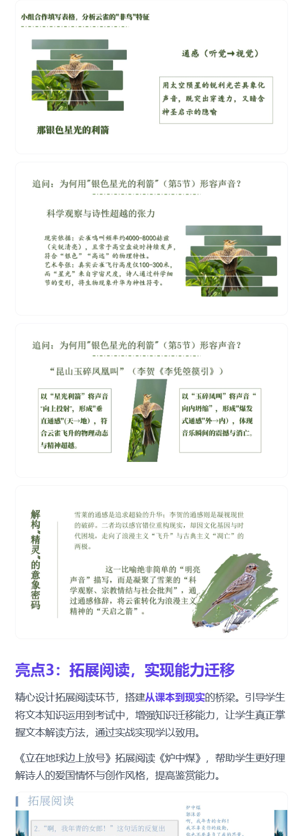 详情图 6