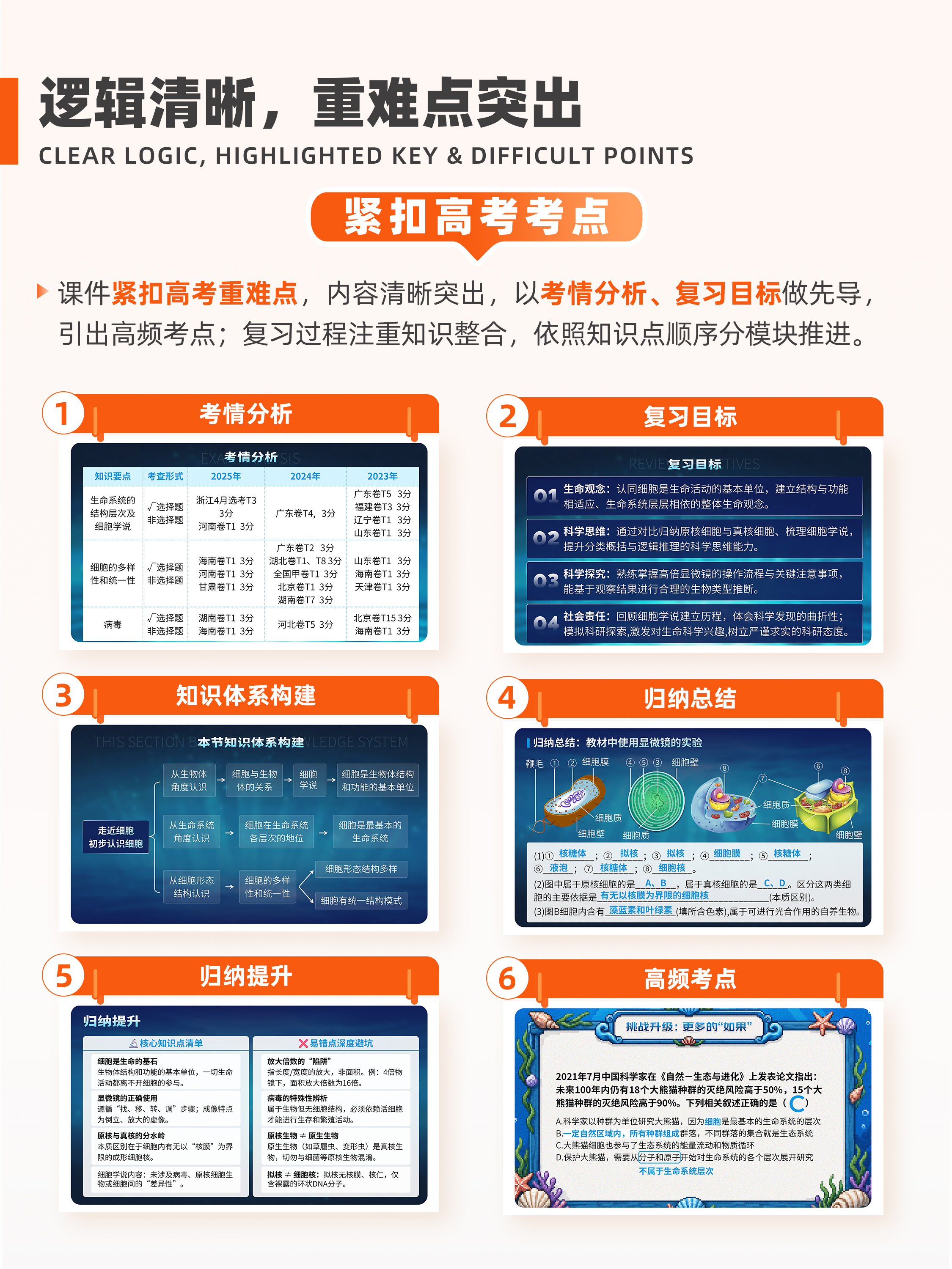 详情图 5