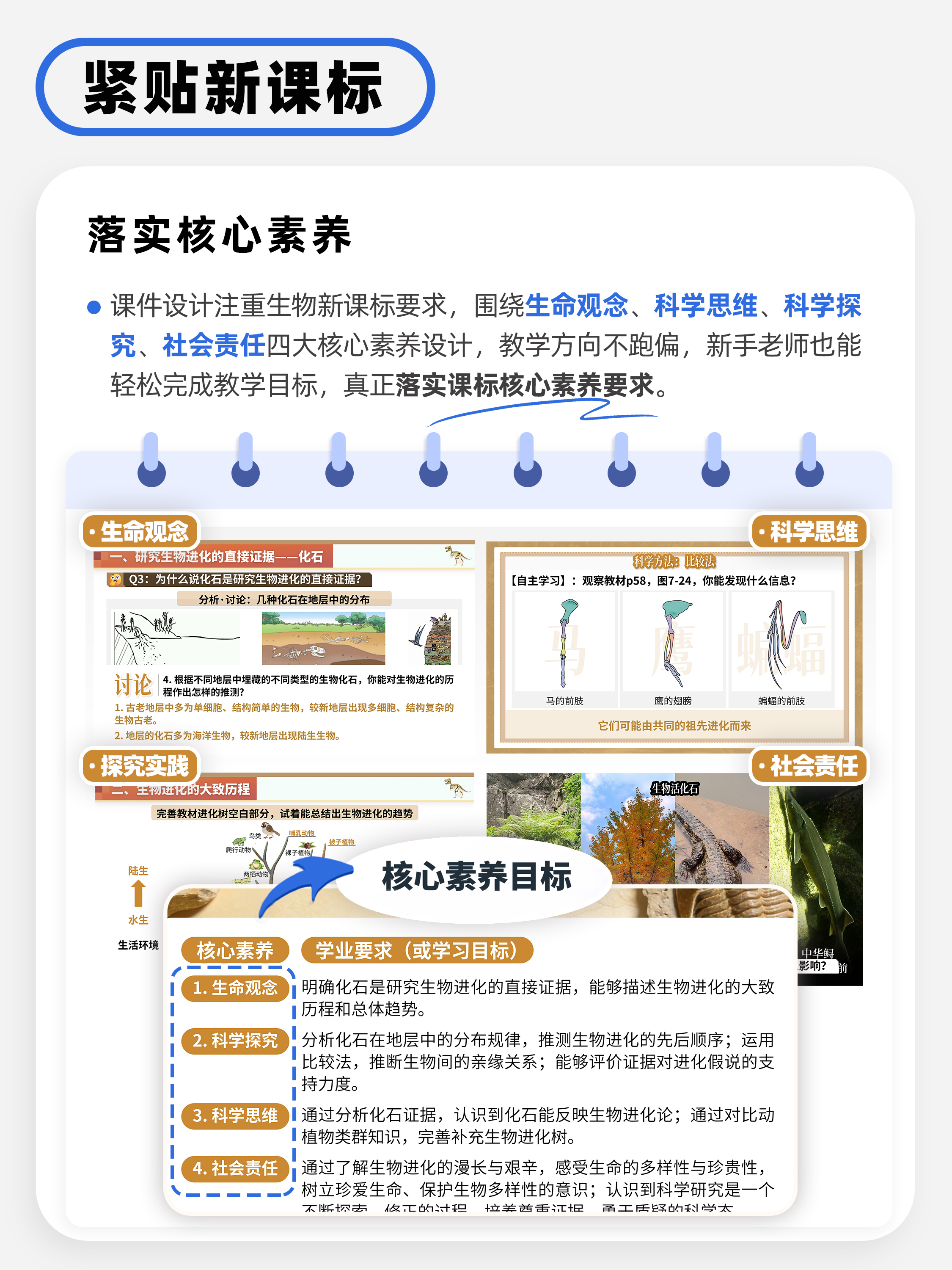 详情图 6