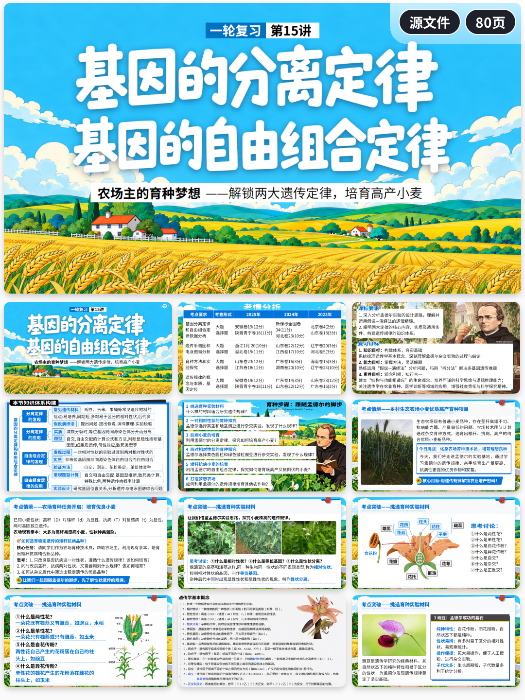 详情图 15