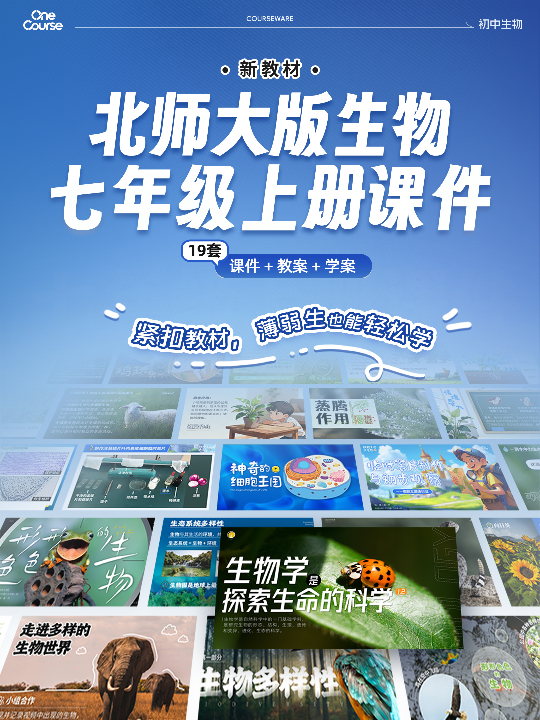 详情图 1