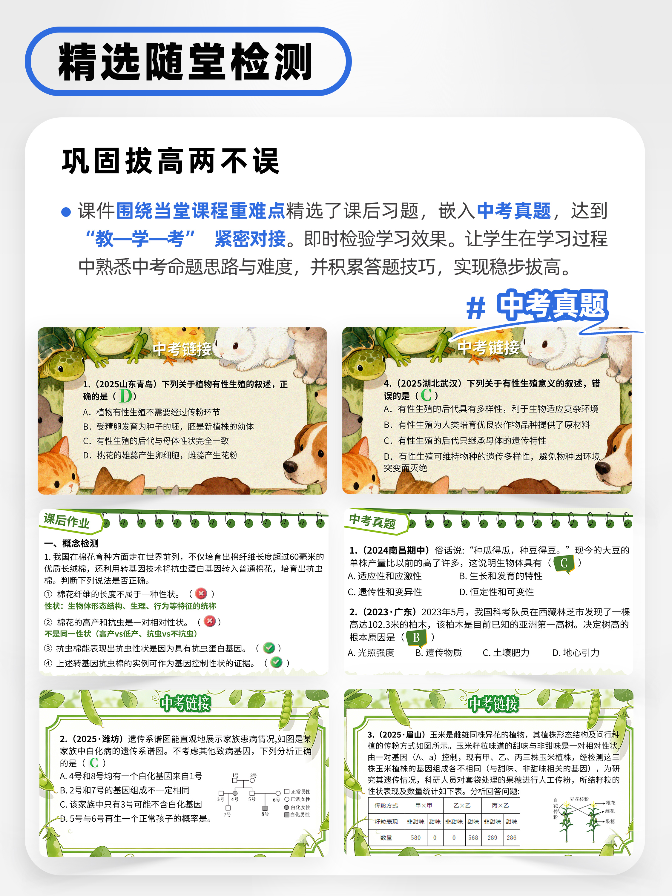 详情图 8