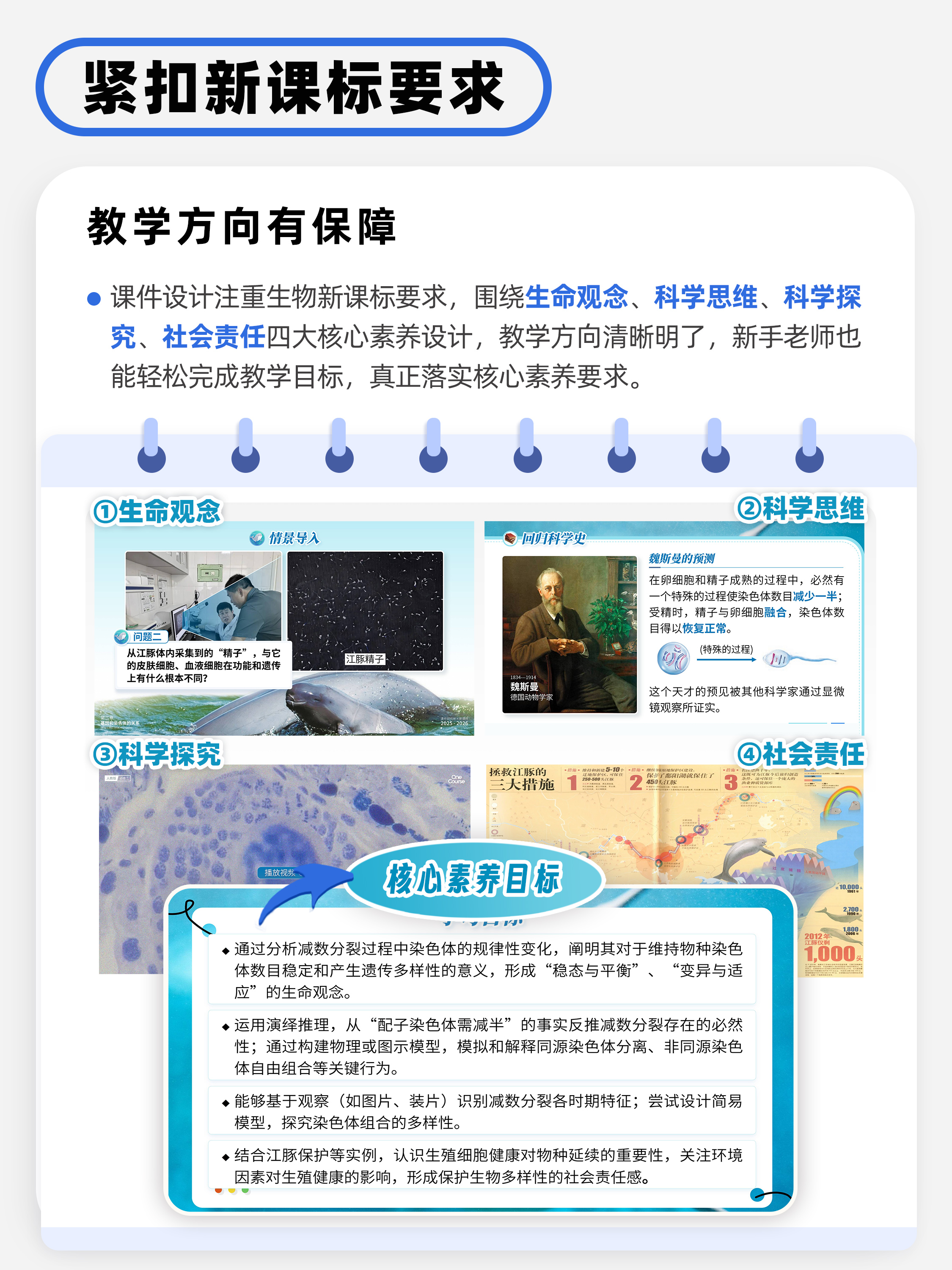 详情图 5