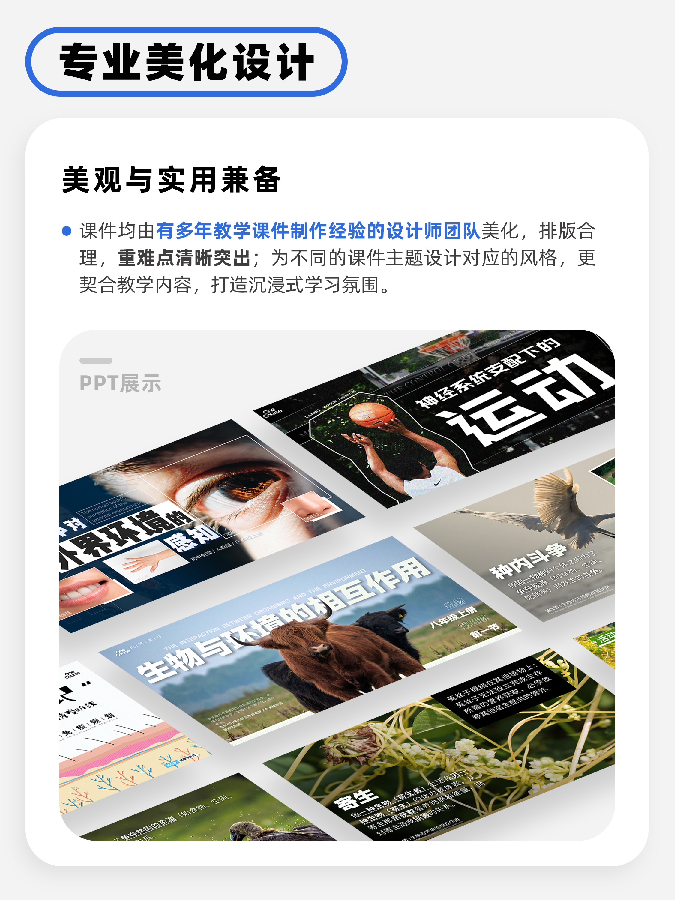 详情图 3