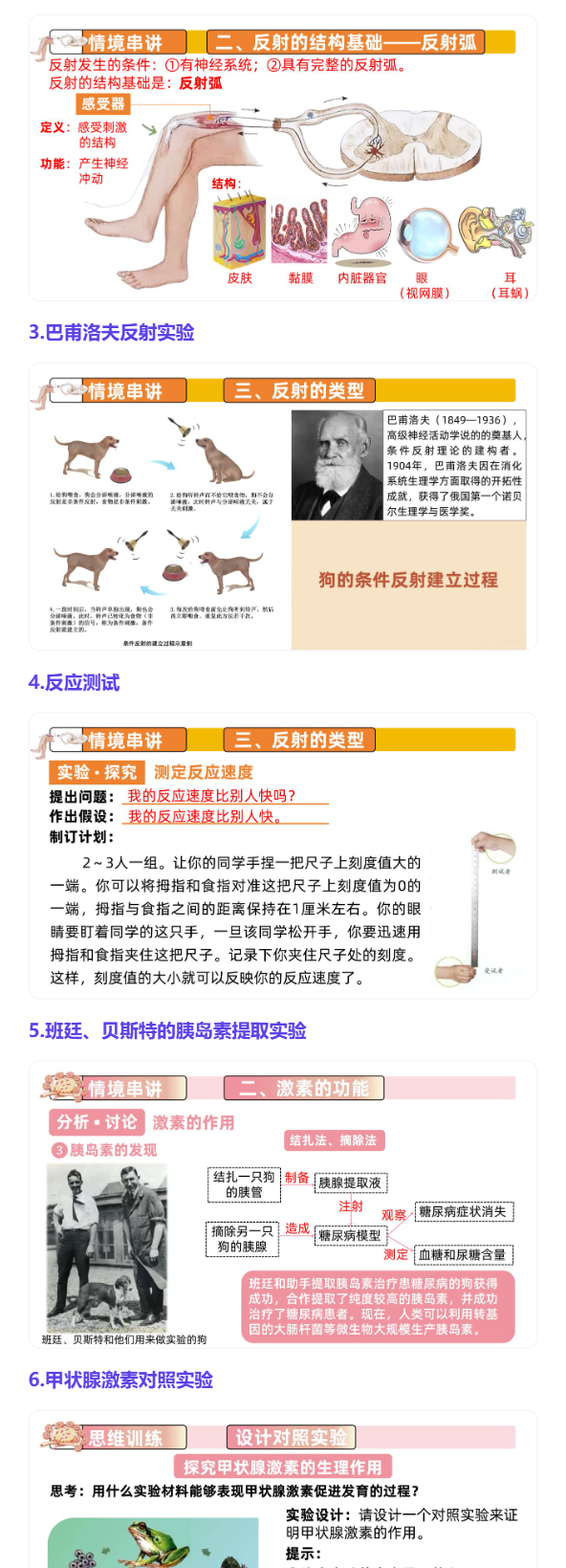 详情图 4