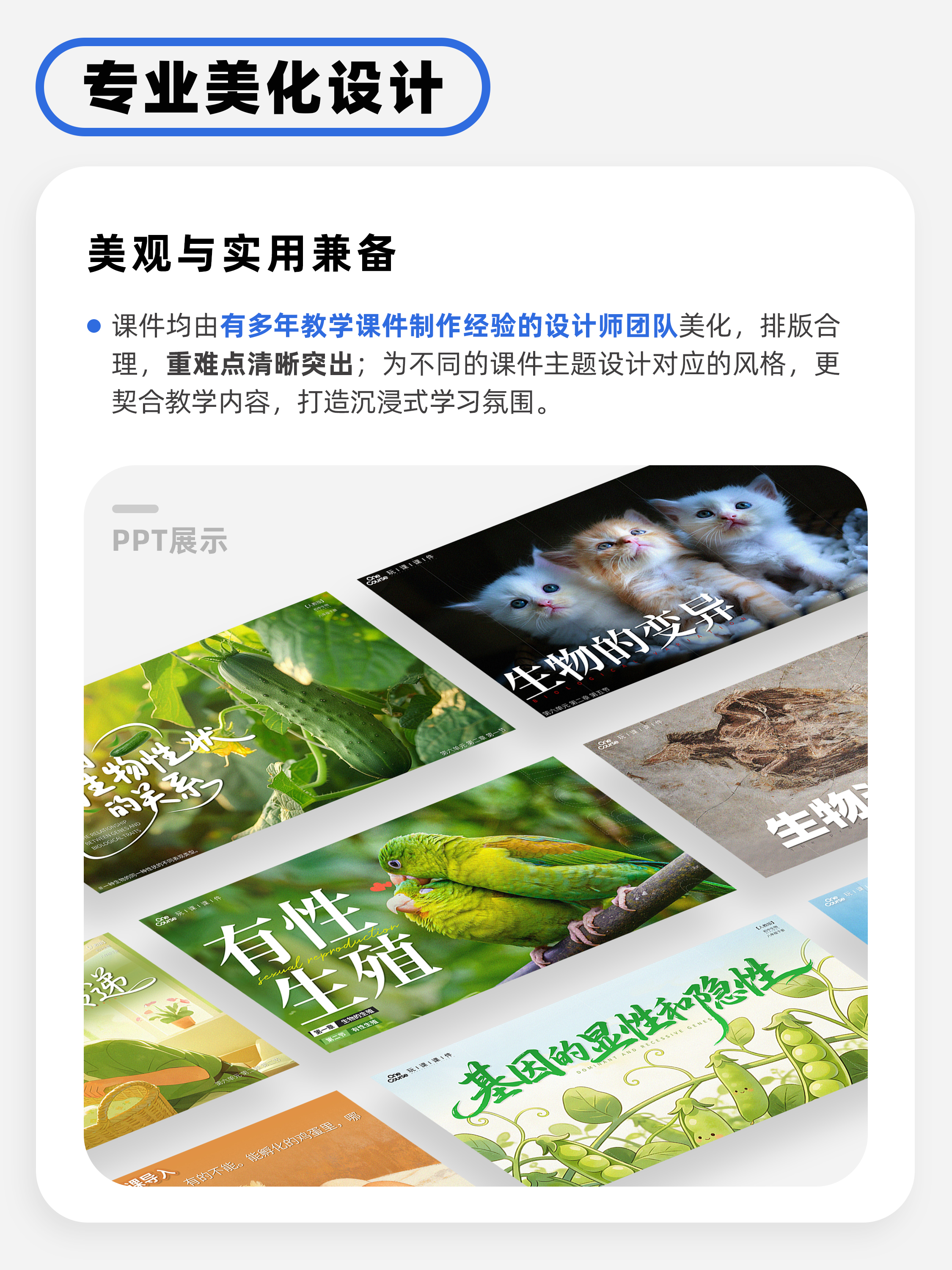 详情图 3