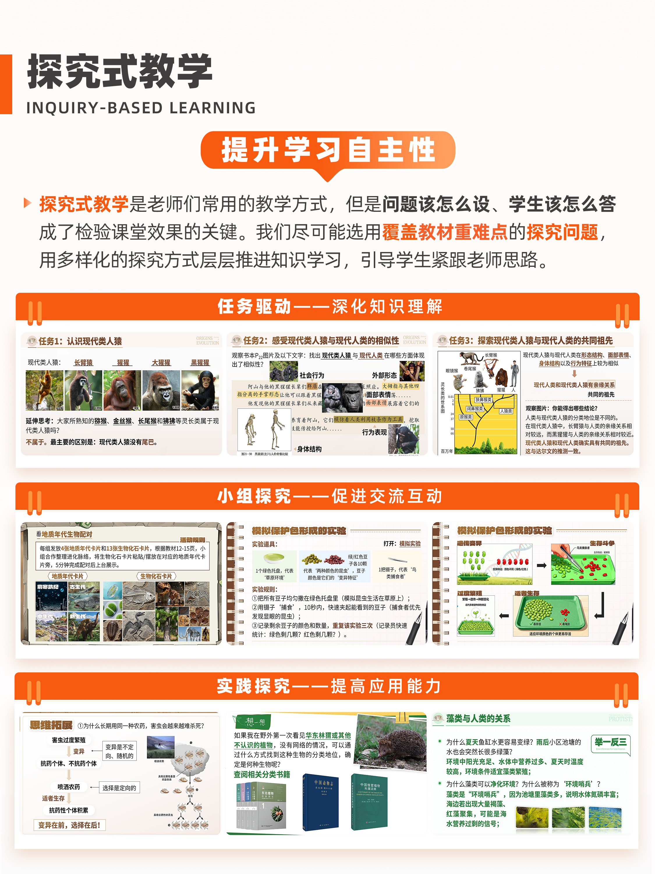 详情图 5