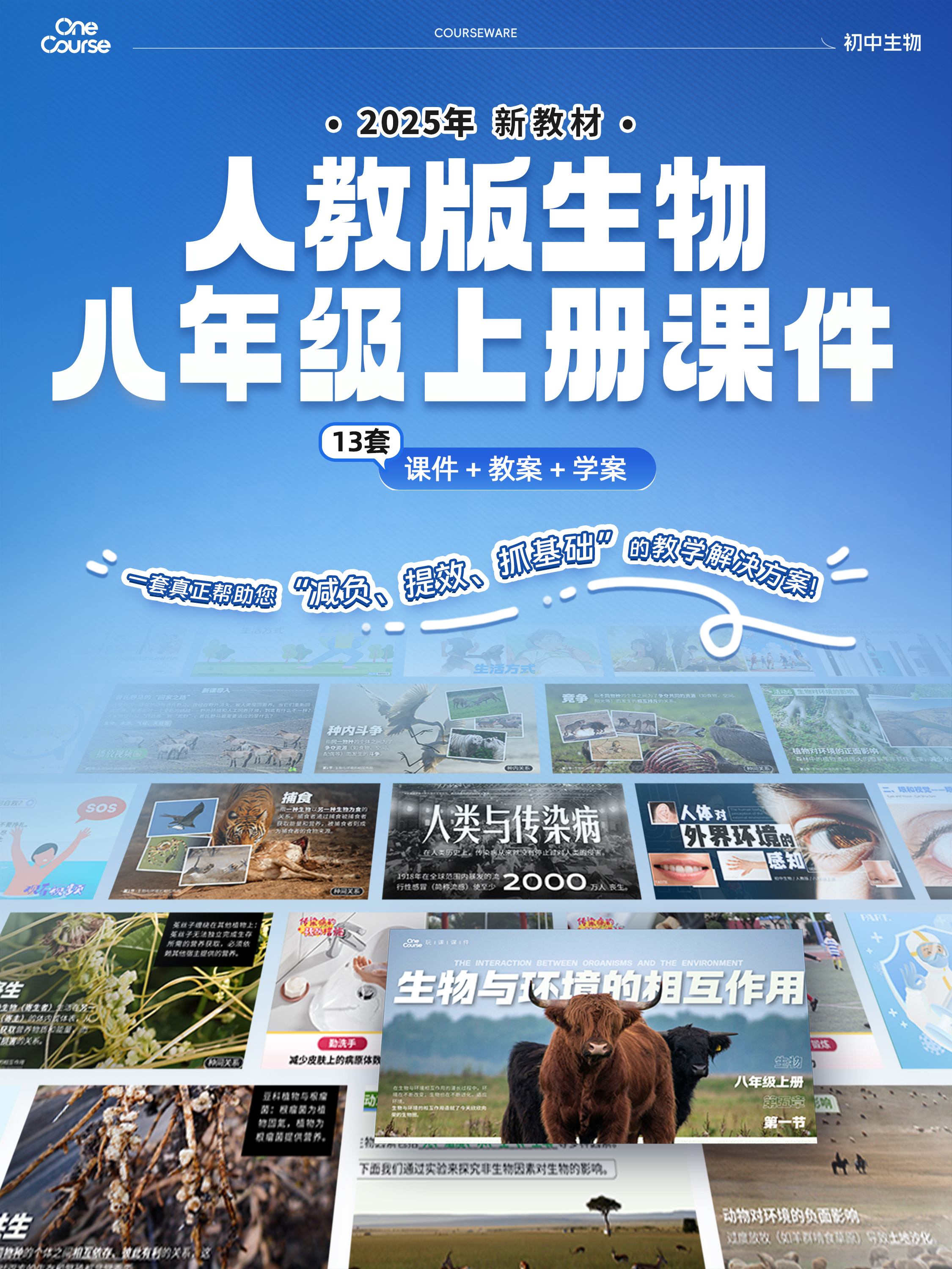 详情图 1