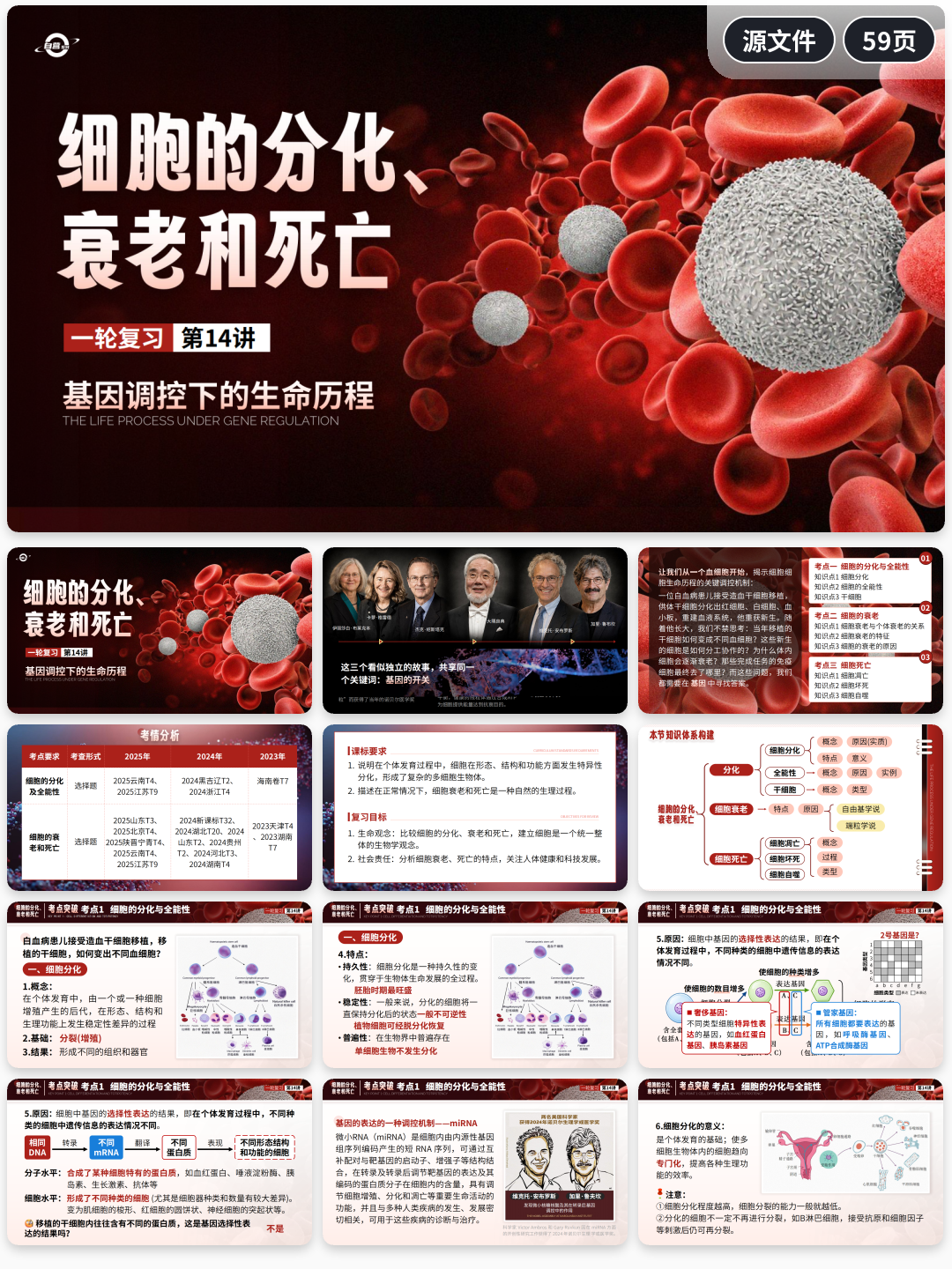 详情图 14