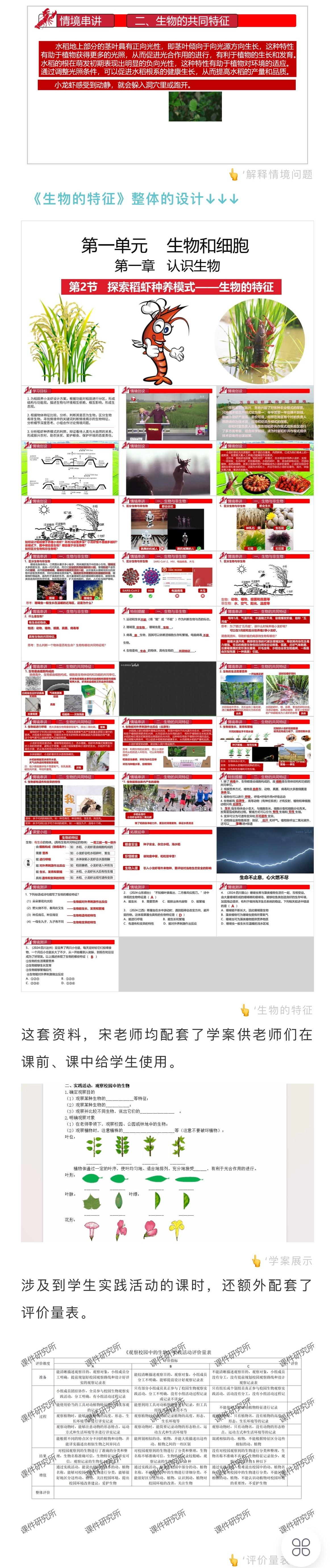 详情图 5