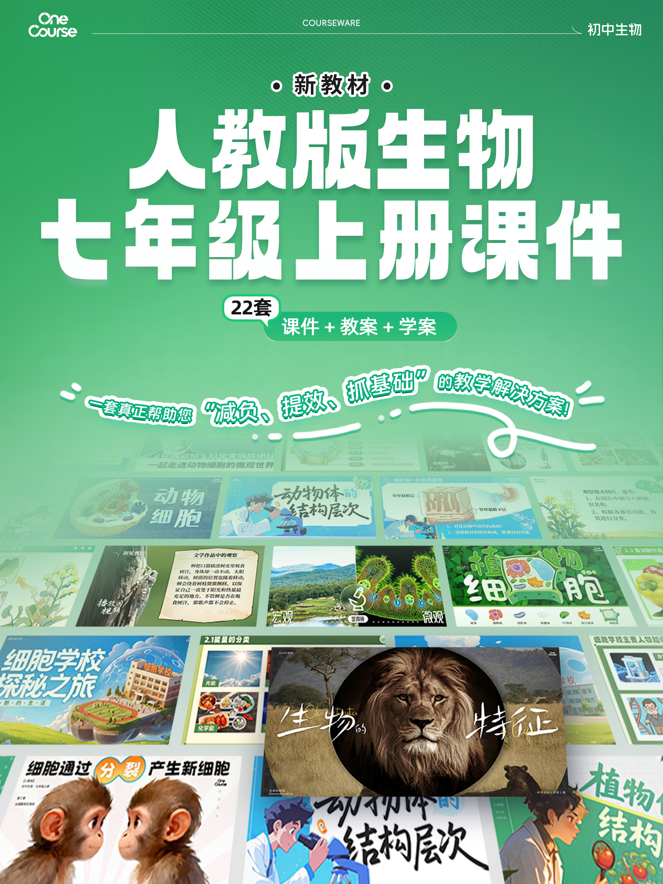 详情图 1