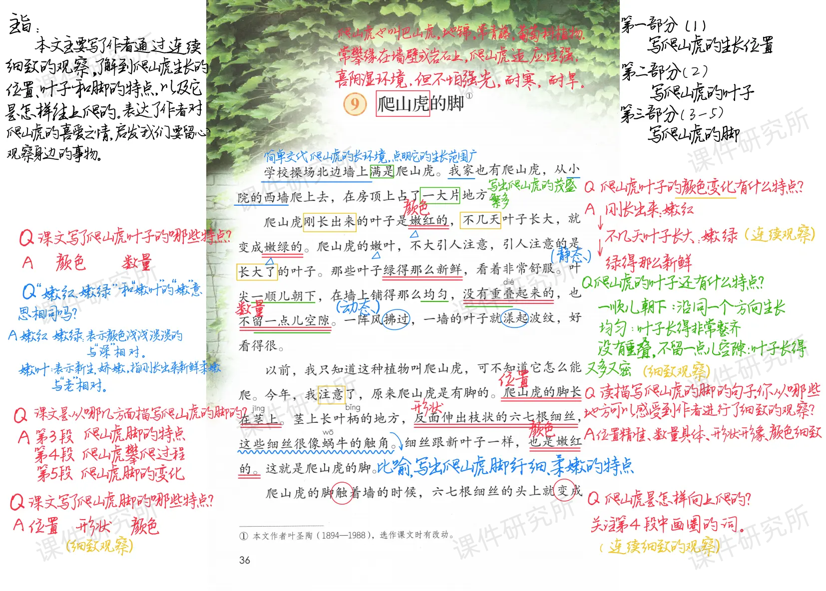 详情图 4