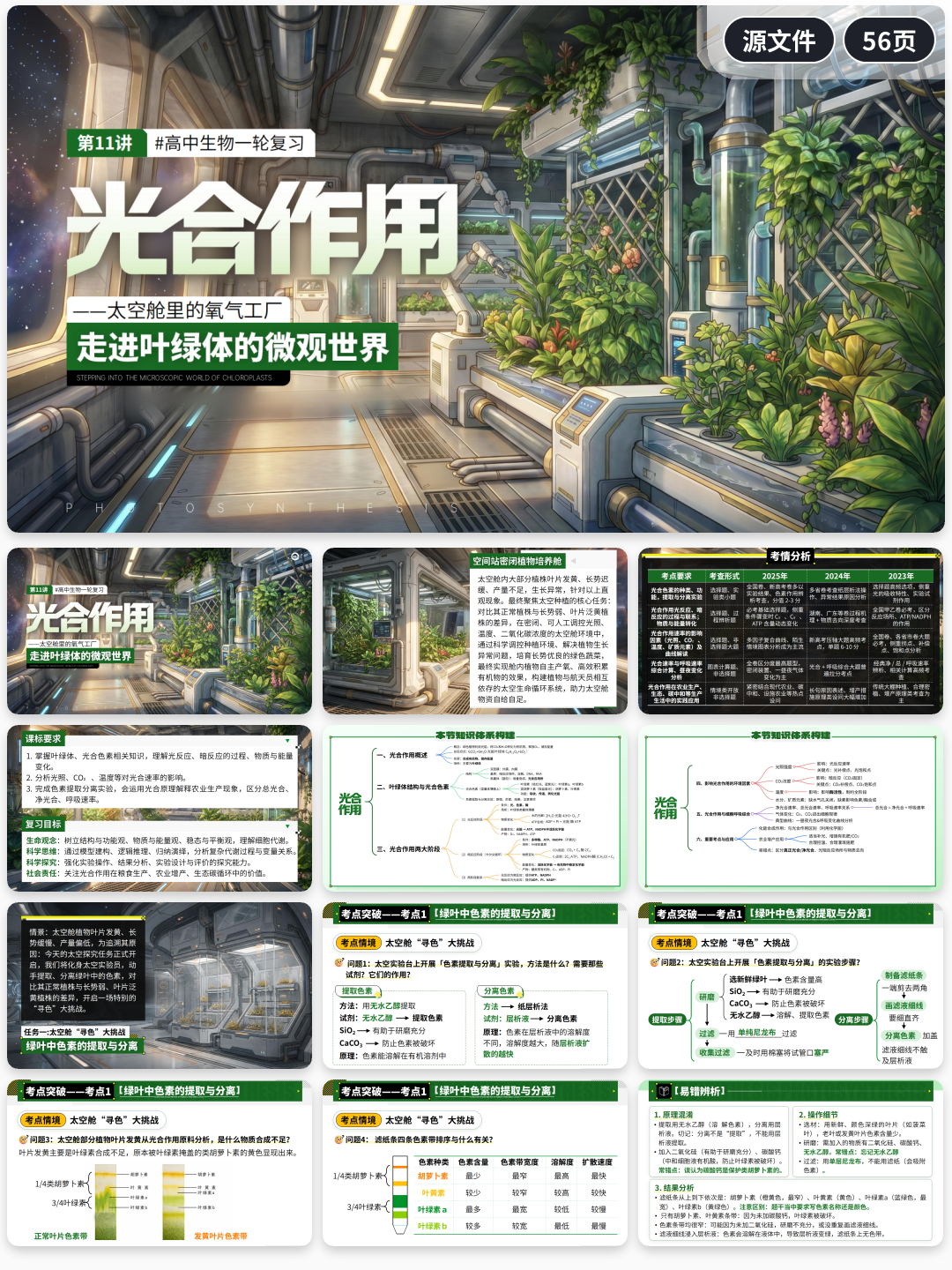 详情图 11