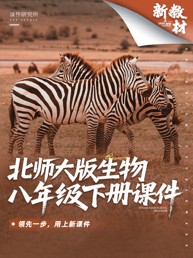 详情图 1