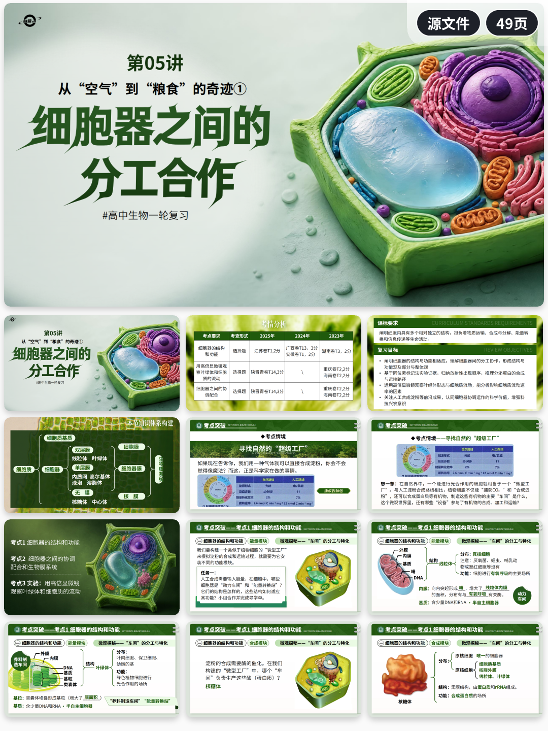 详情图 5