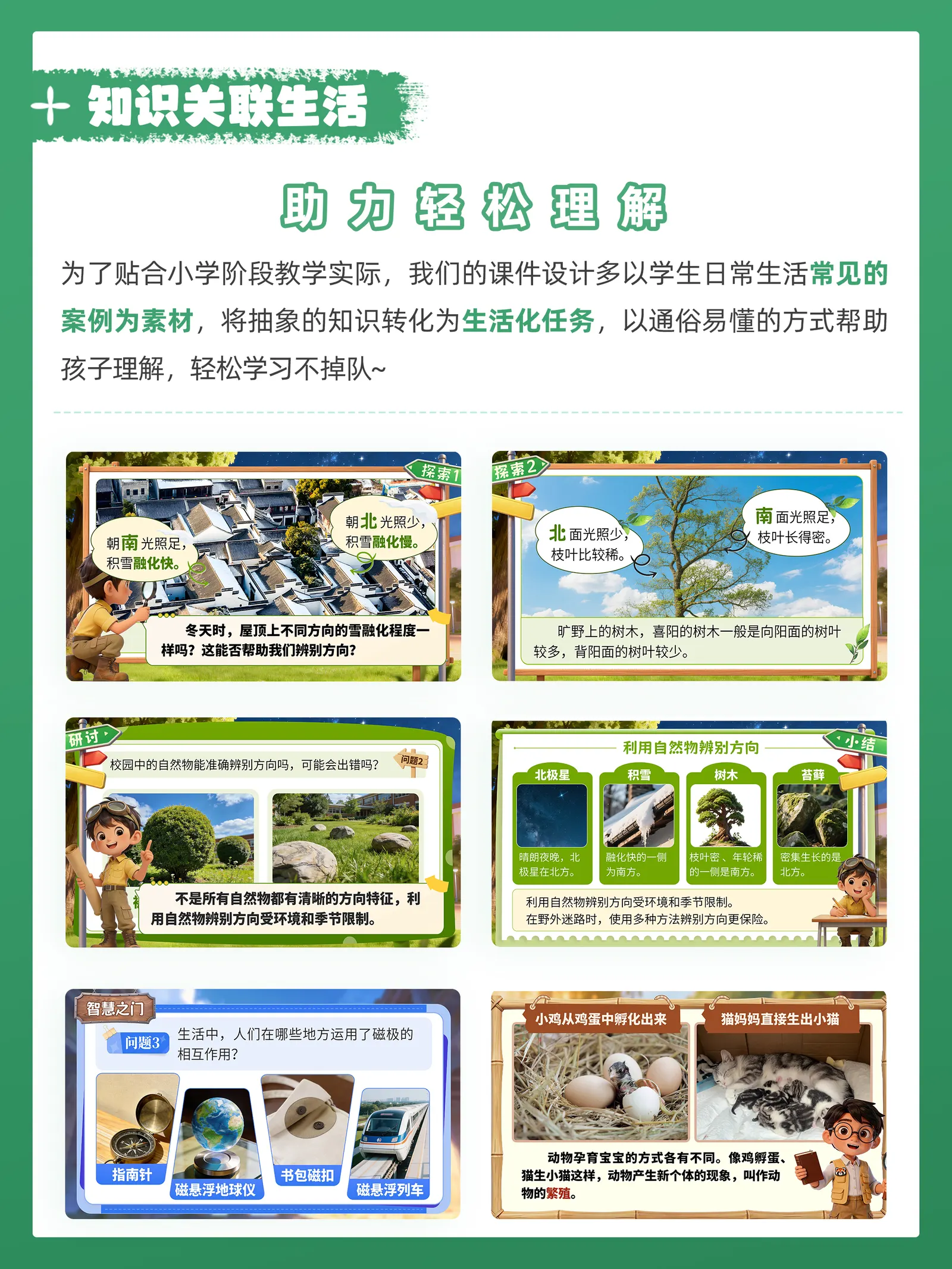详情图 5