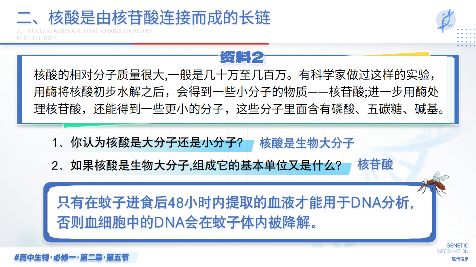 预览图 10