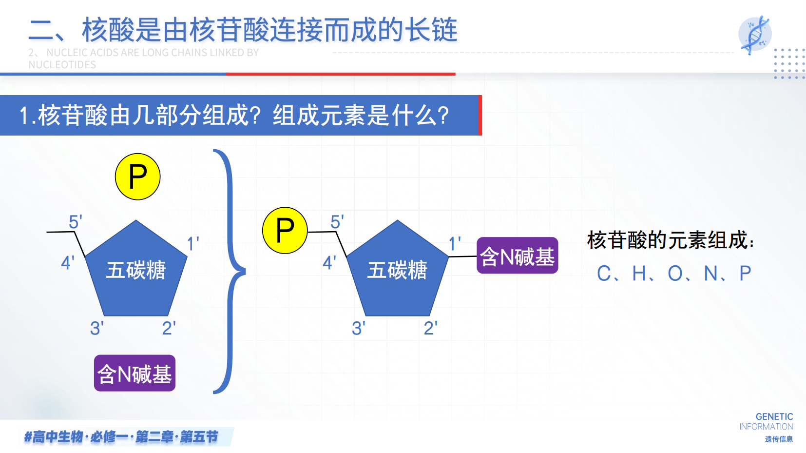 预览图 12