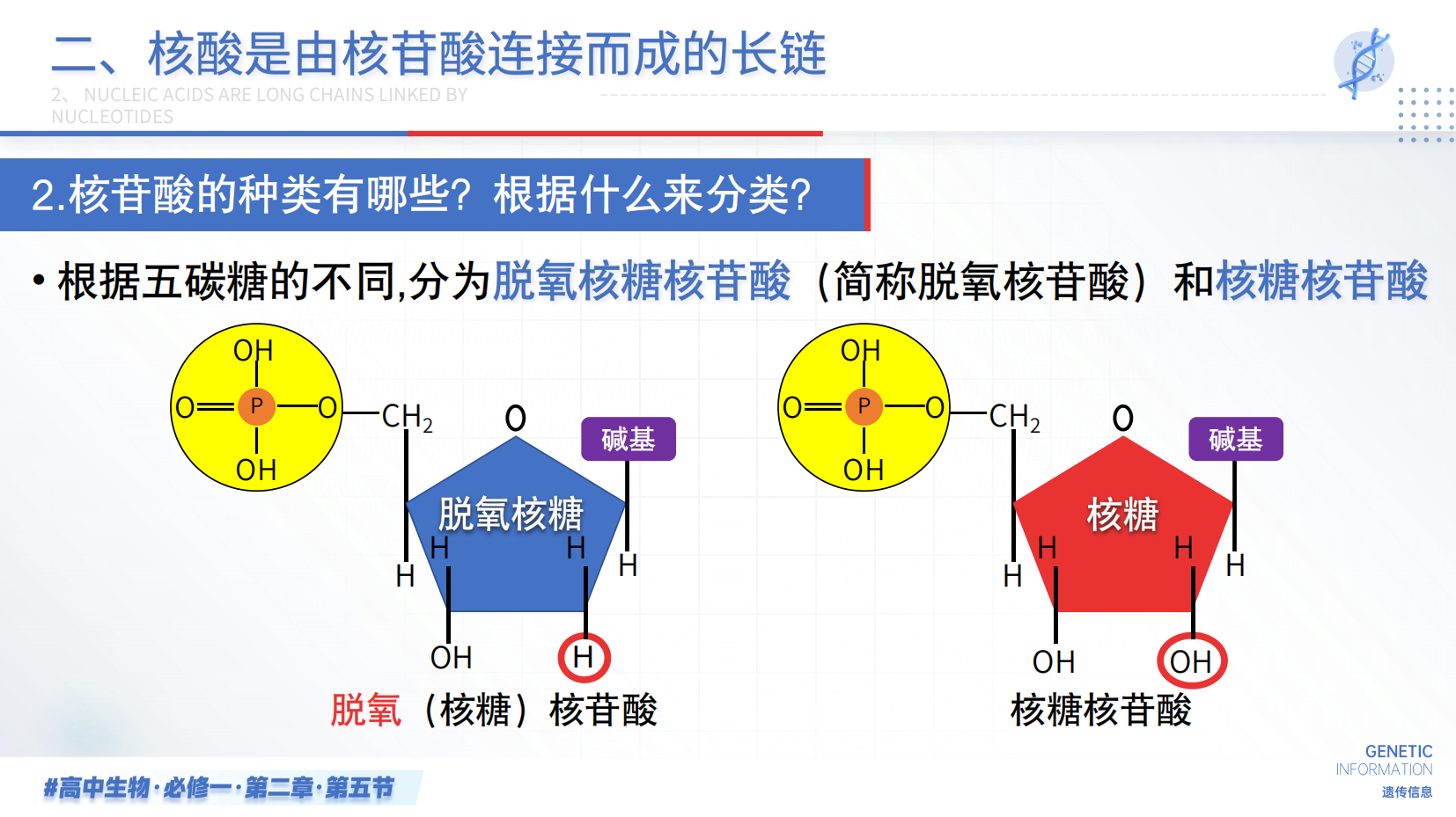 预览图 13