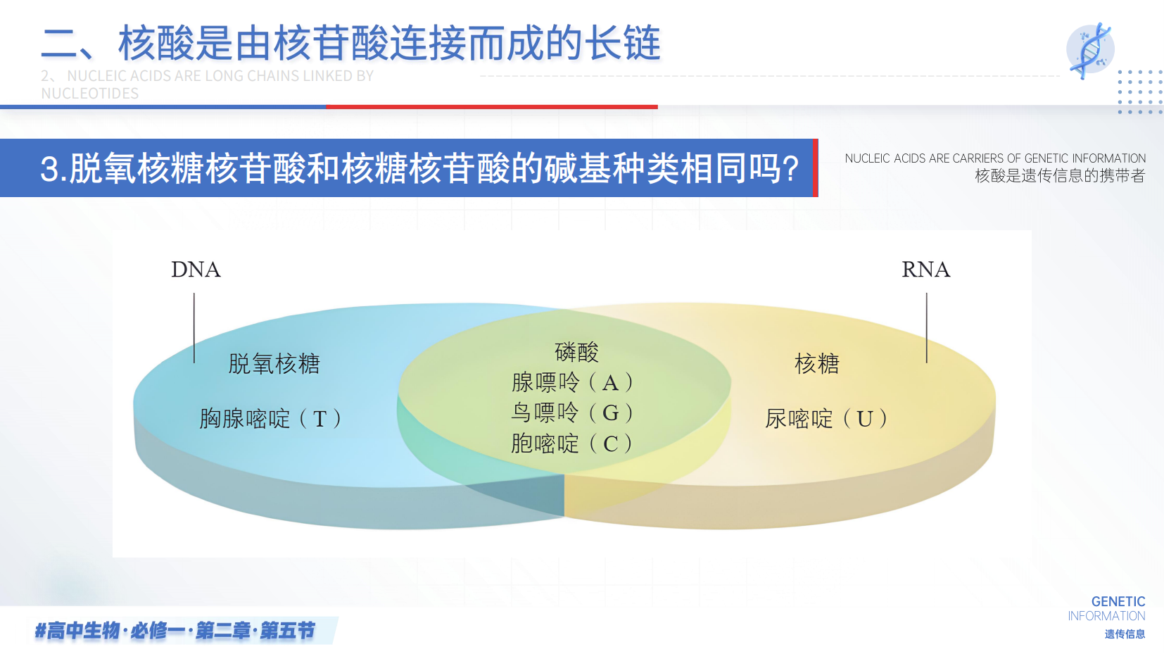 预览图 14