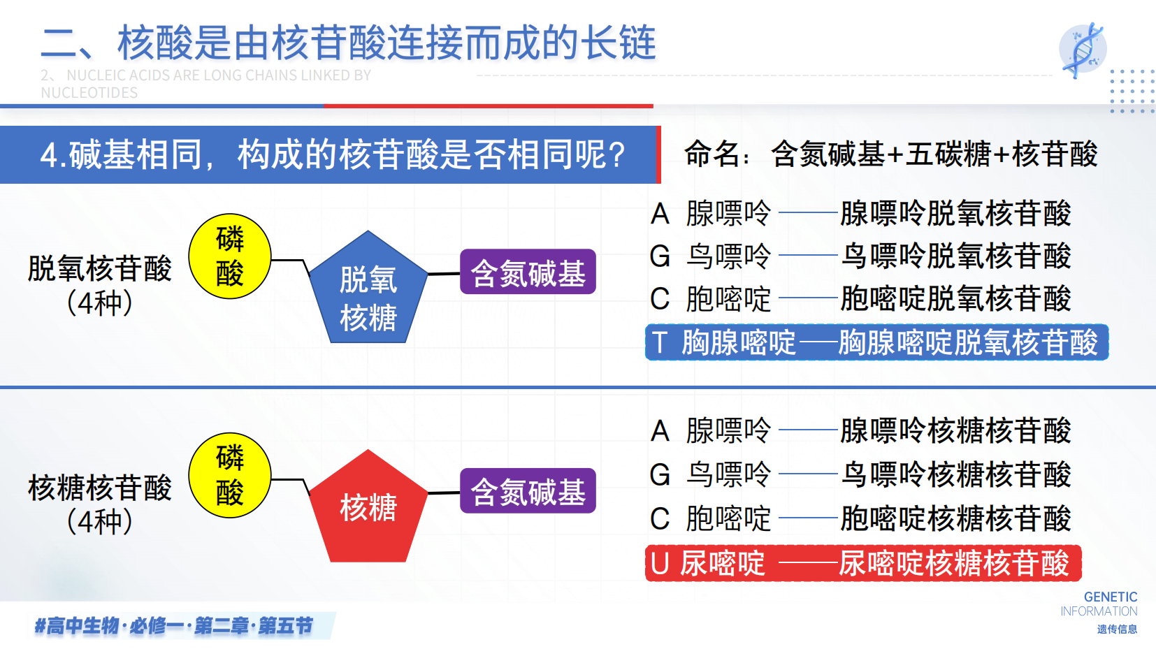 预览图 15