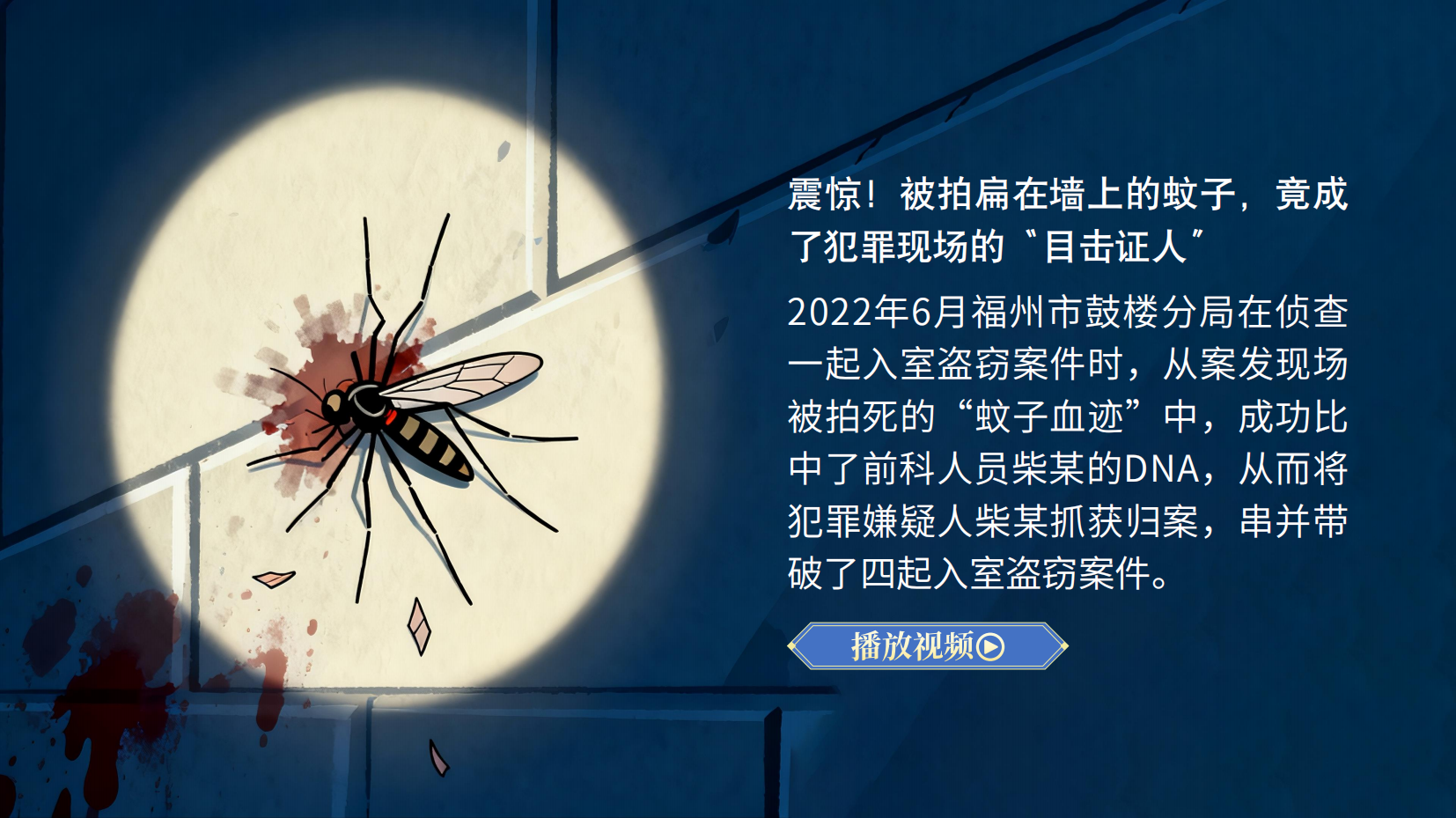 预览图 3