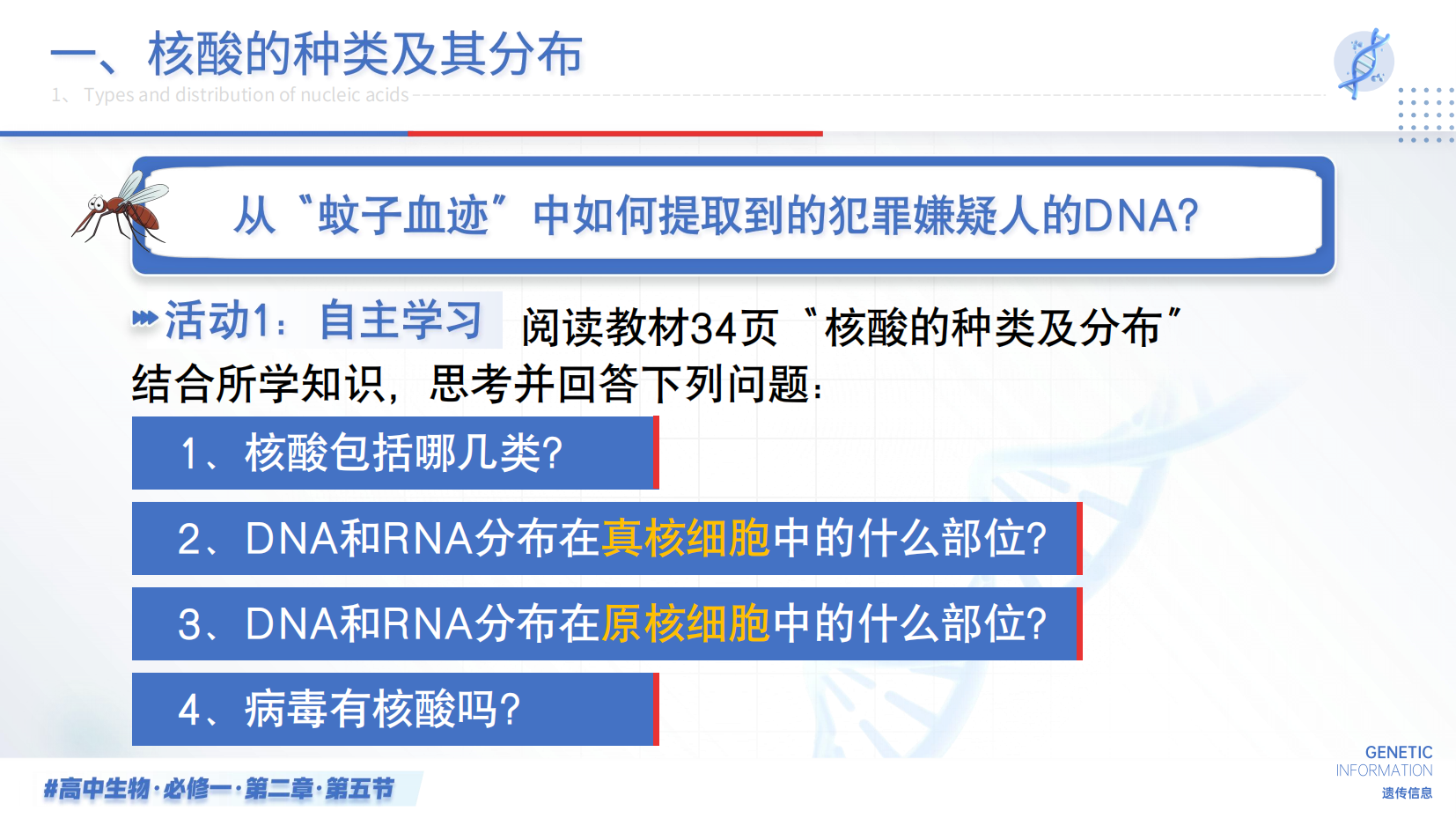 预览图 5