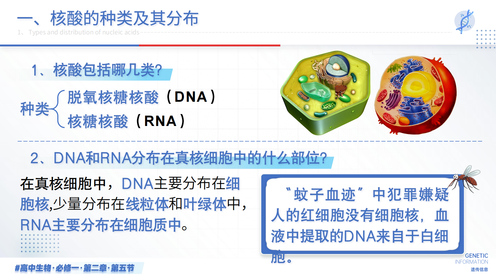 预览图 6