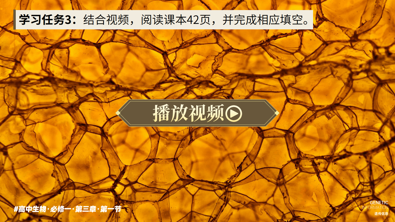 预览图 10