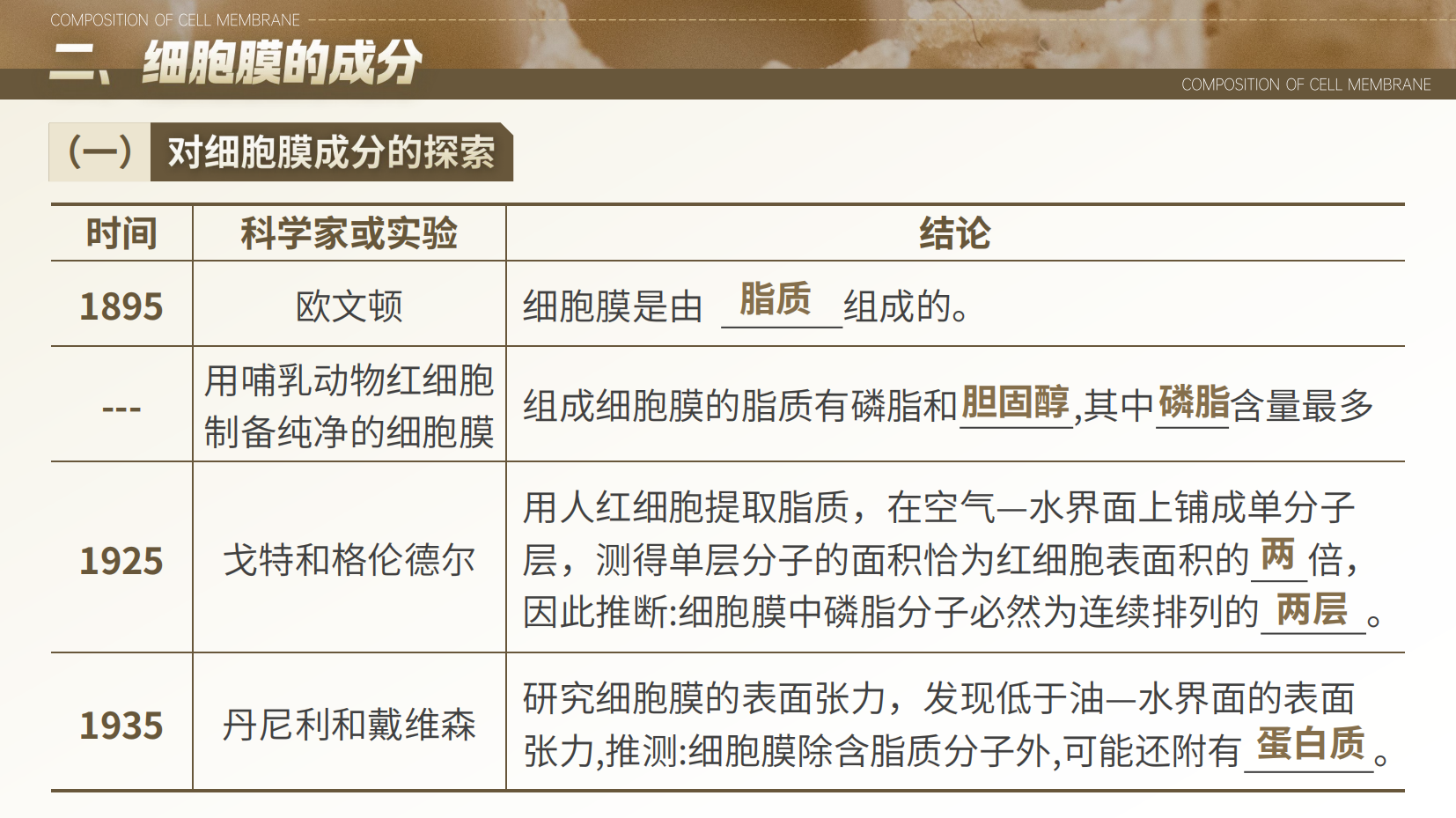 预览图 11
