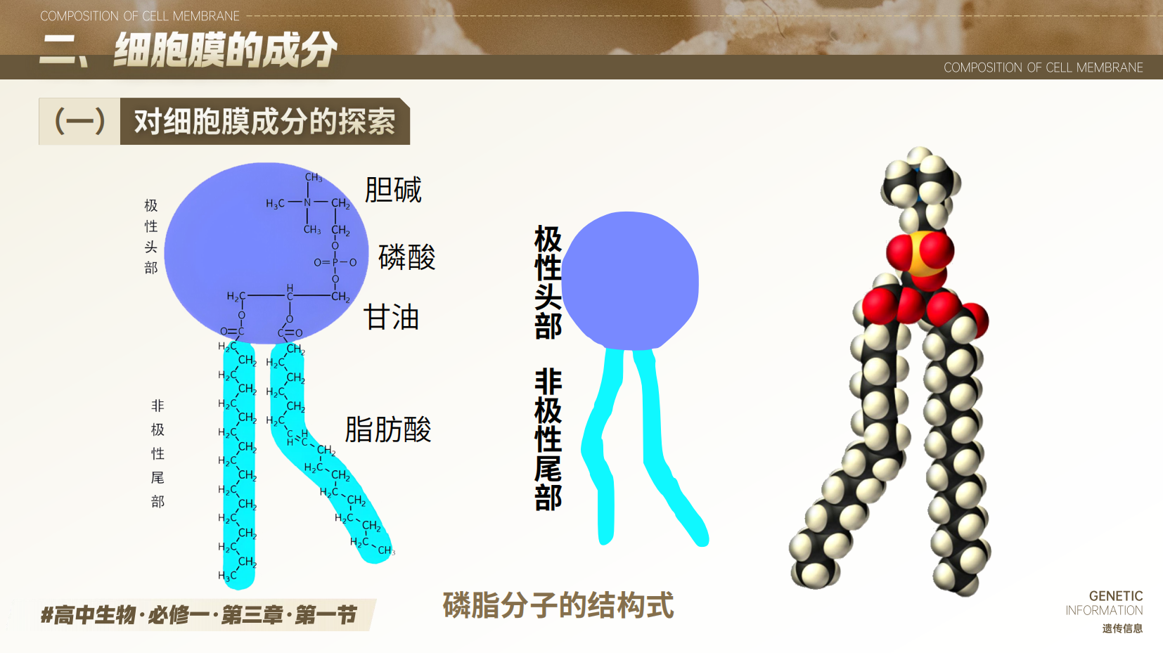 预览图 12
