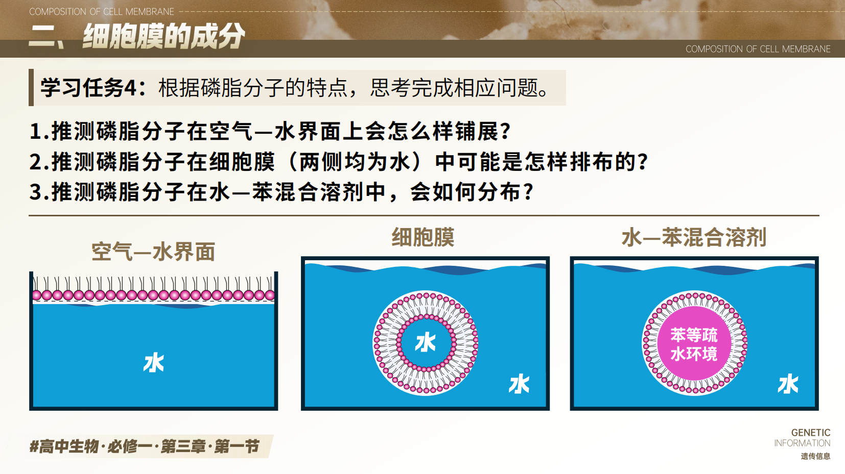 预览图 13