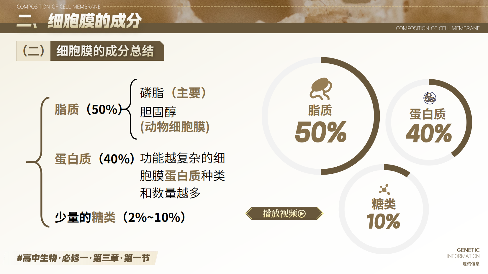 预览图 14