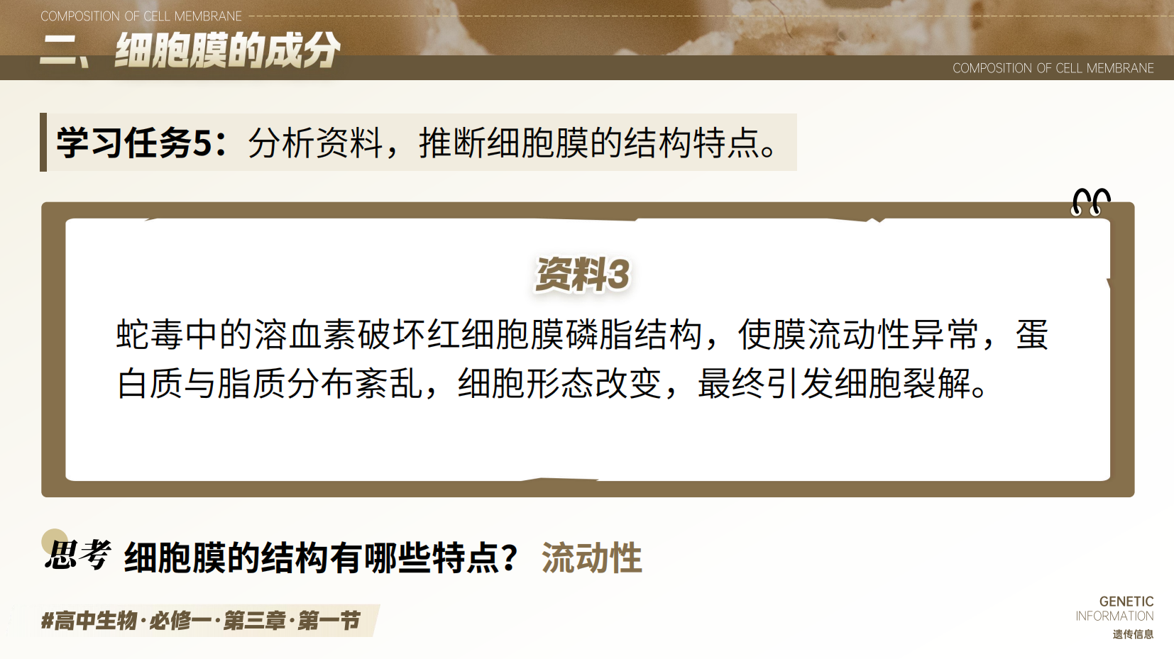 预览图 15