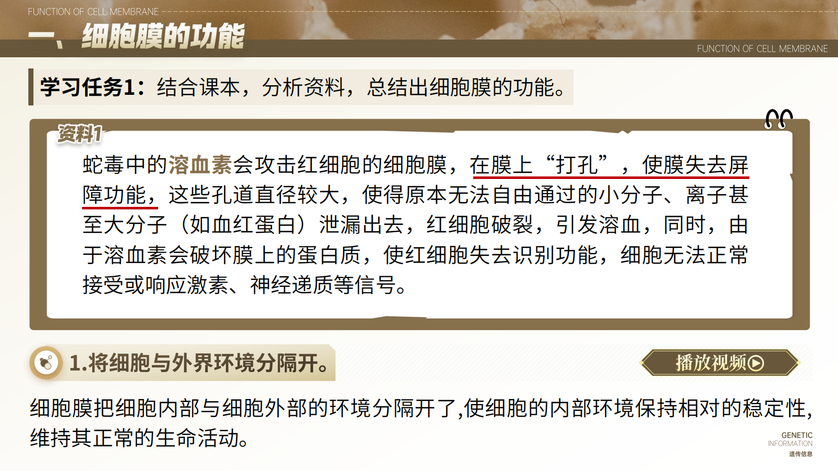 预览图 5