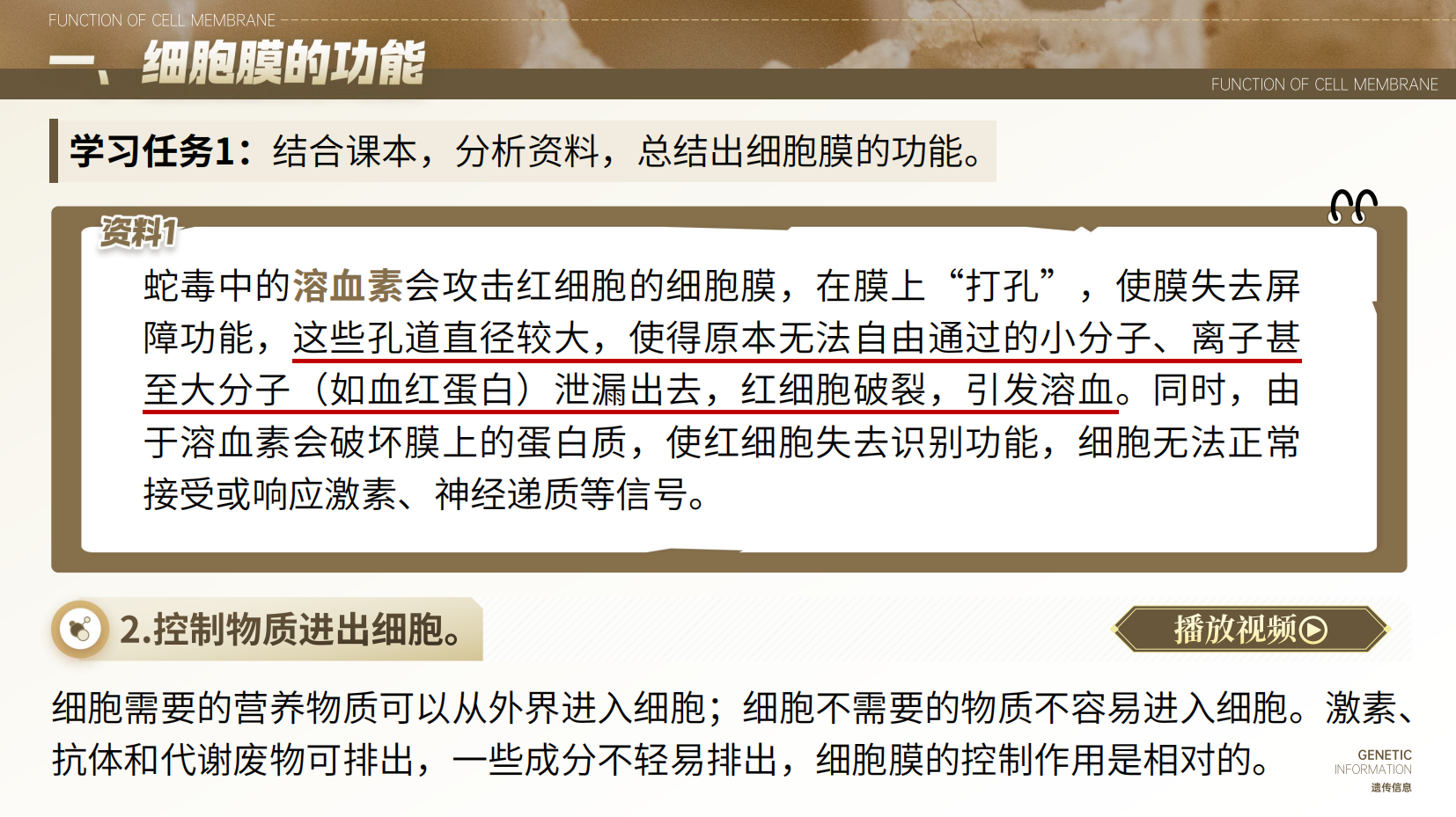 预览图 6