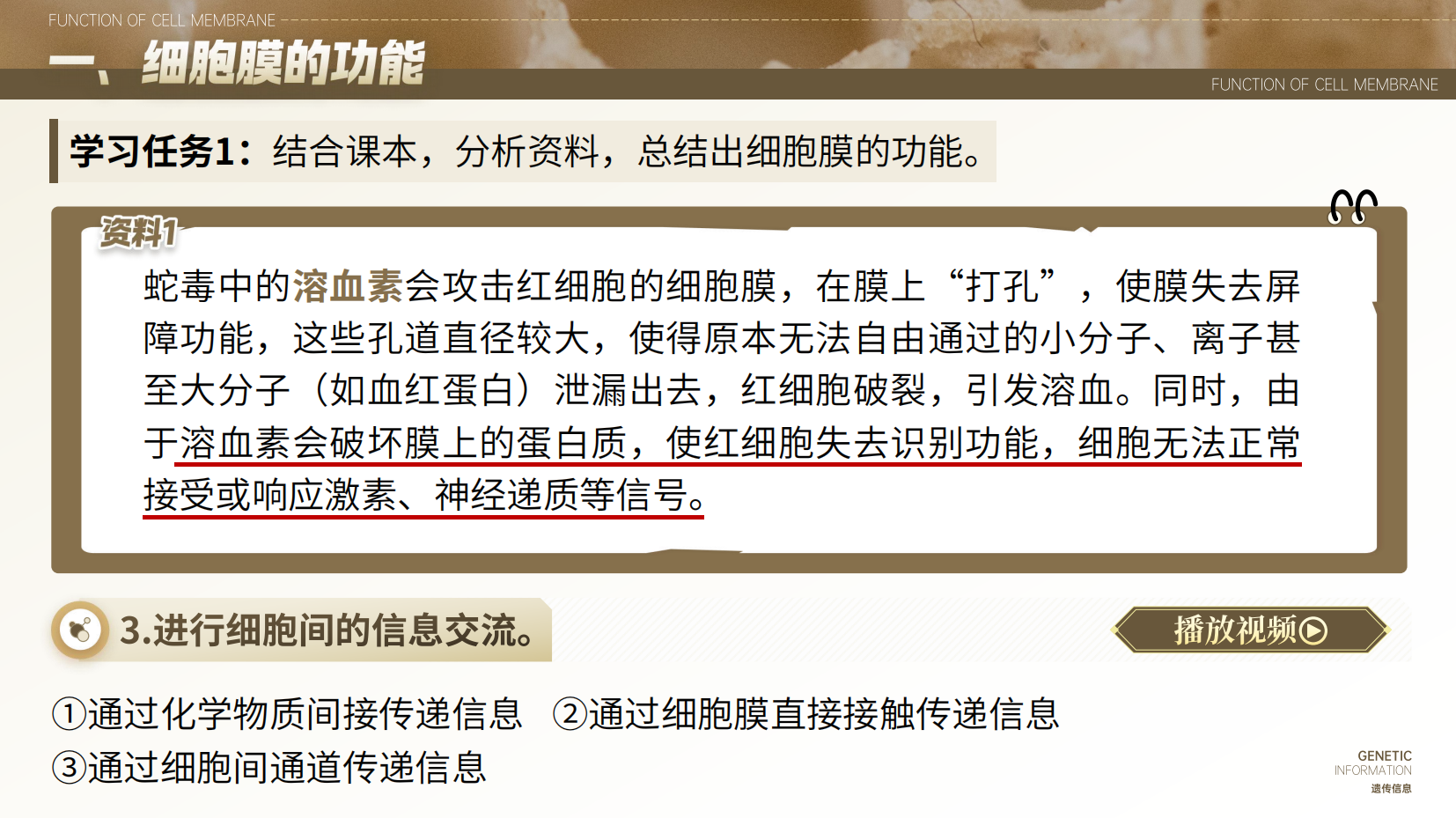 预览图 7