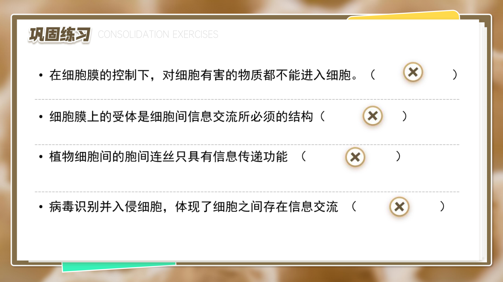 预览图 8