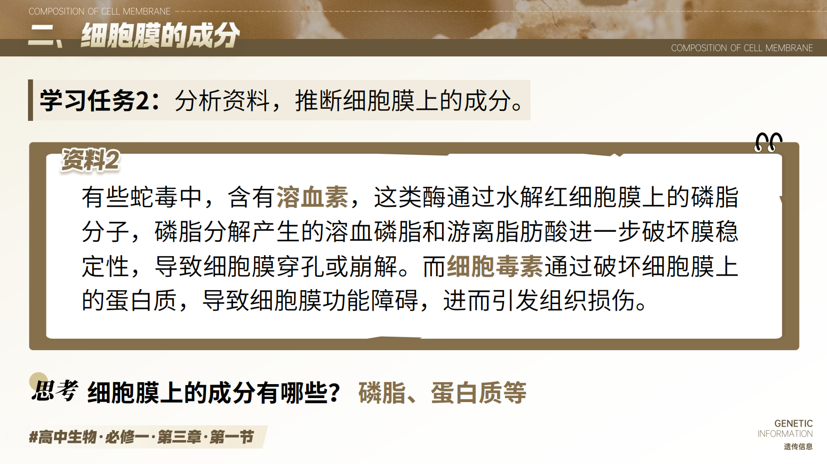 预览图 9