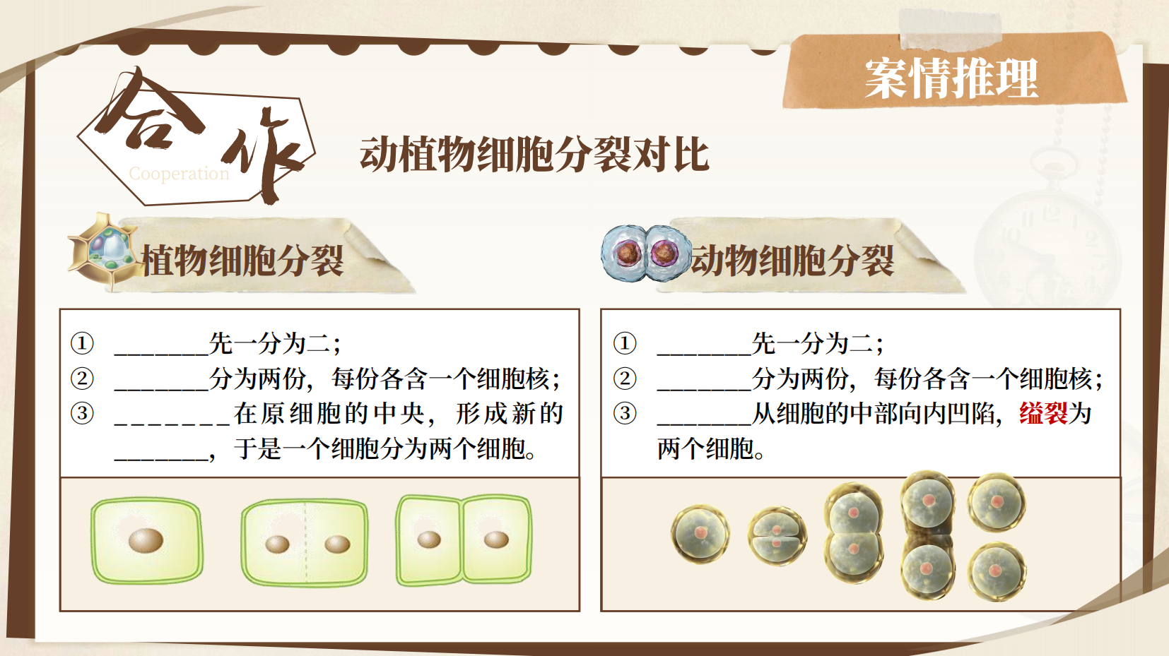 预览图 10