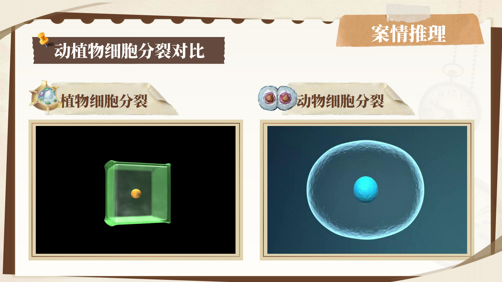 预览图 11